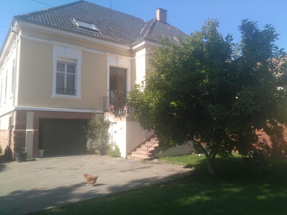 Chambres Privatives Chez L'Habitant Guebwiller Exterior foto